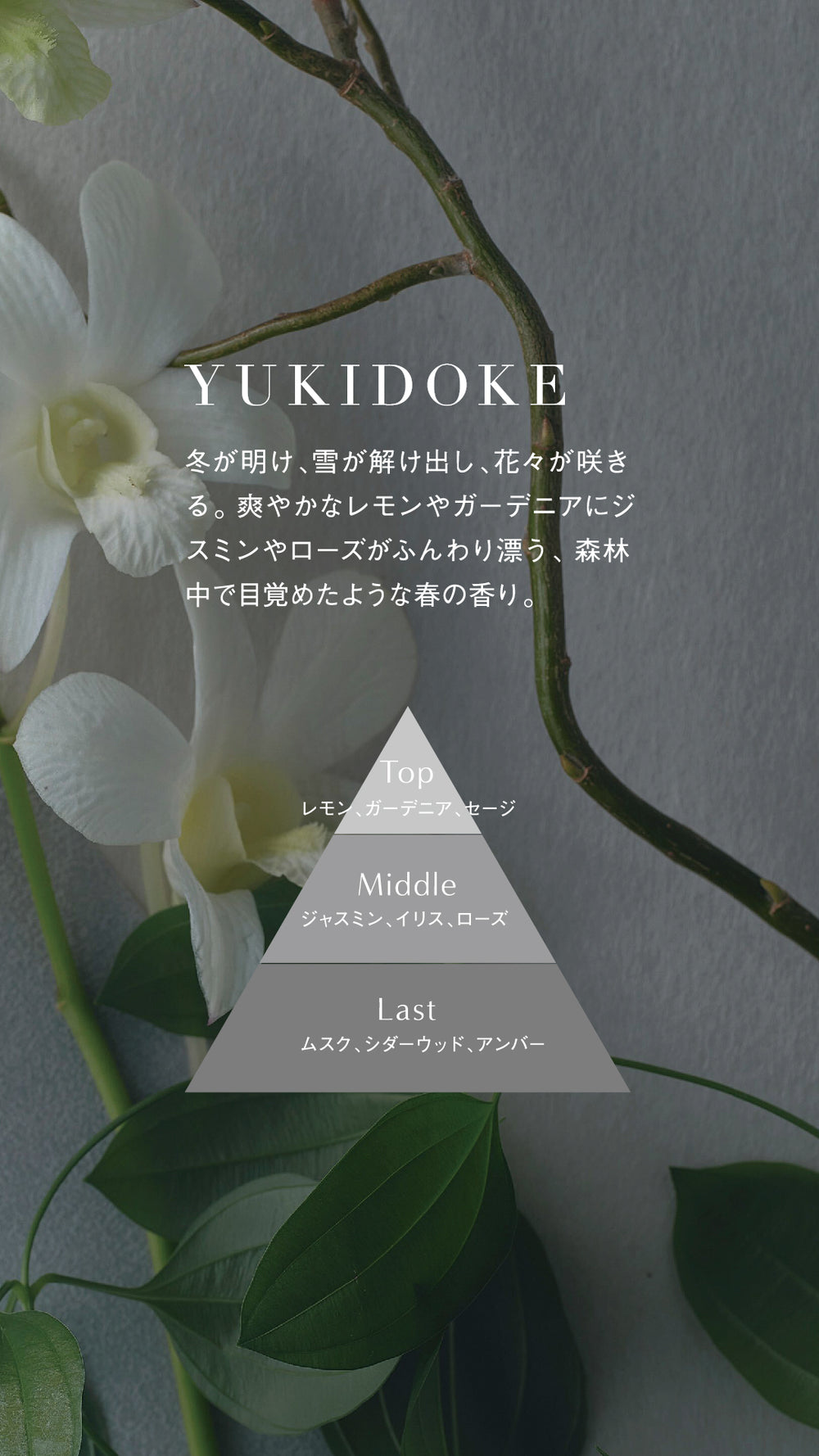 eau de parfum YUKIDOKE – SHIKI STYLE